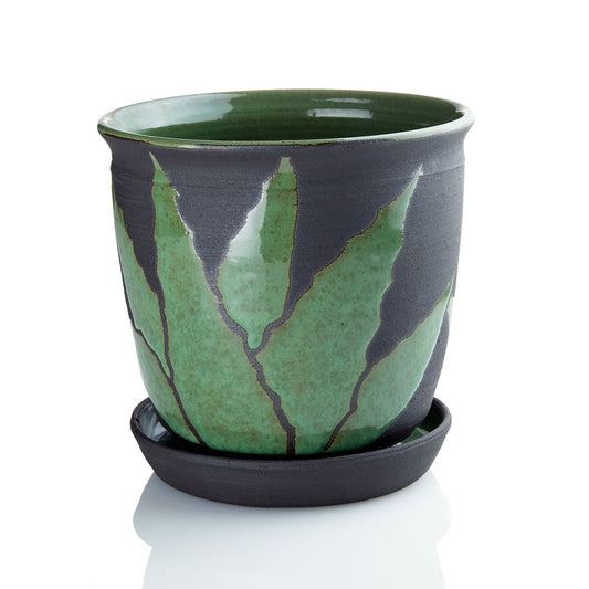 Agave Planter