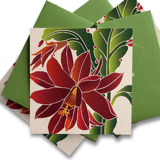 Desert Botanical Holiday Cards