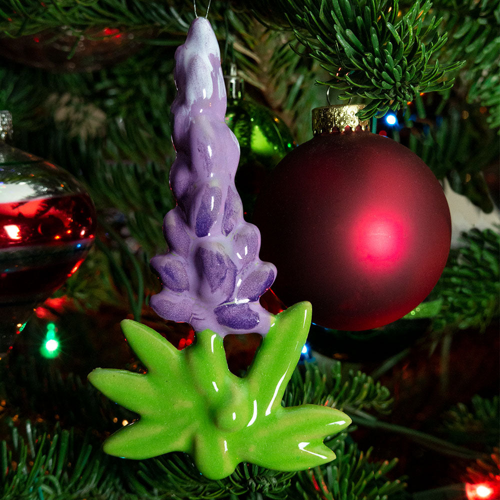 Desert Botanical Ornaments