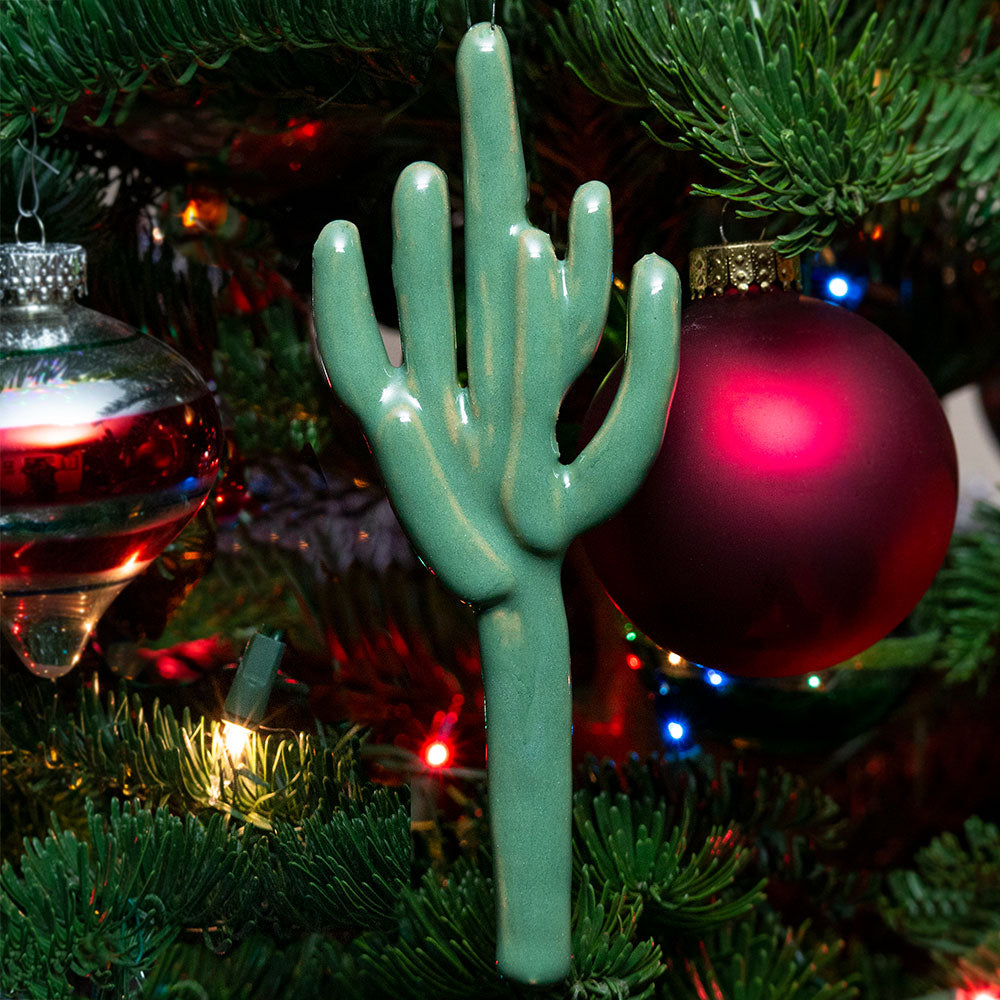 Desert Botanical Ornaments