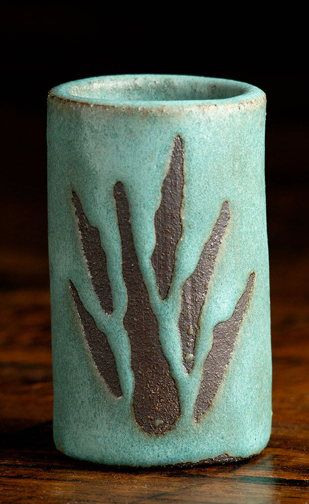 Agave Shot Glass Gift Set